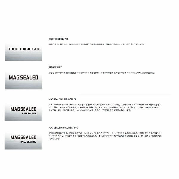 24トーナメントサーフ45 06PE TYPE R ダイワ