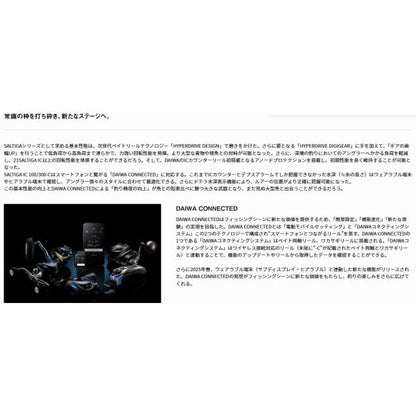 25 ソルティガIC 100H－C ダイワ