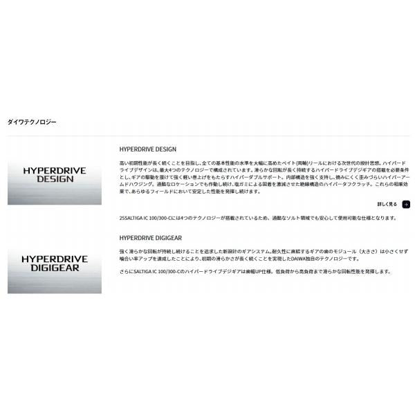 25 ソルティガIC 100H－C ダイワ