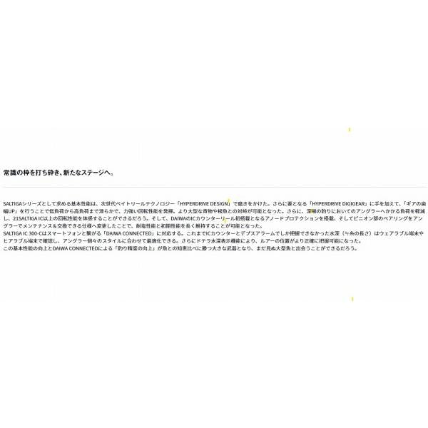 25ソルティガIC 300L-C ダイワ 秋の大感謝祭