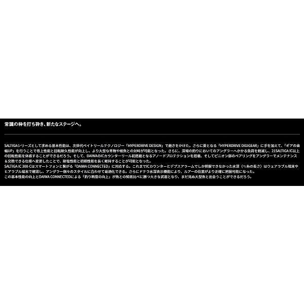 25ＳＡＬＴＩＧＡ ＩＣ 300Ｈ ＳＪ Ｃ ダイワ 秋の大感謝祭