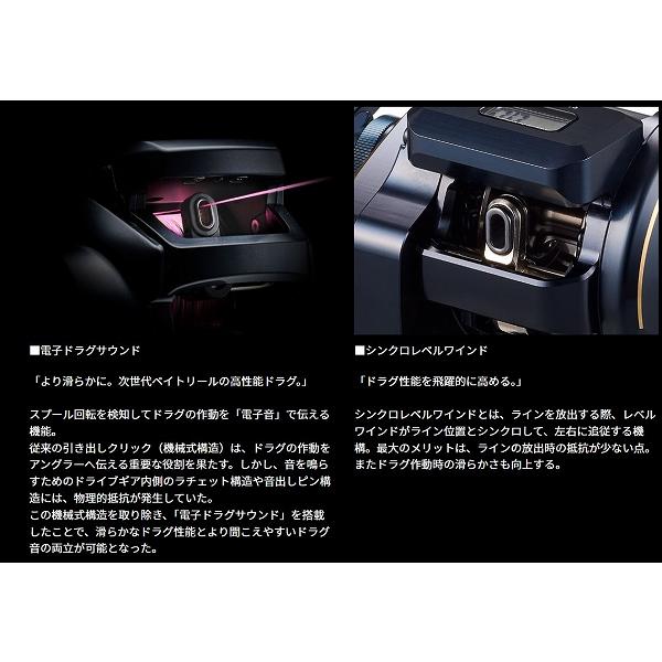 25ＳＡＬＴＩＧＡ ＩＣ 300Ｈ ＳＪ Ｃ ダイワ 秋の大感謝祭