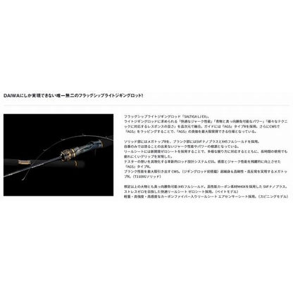 SALTIGA LJ EX 62XHB－S ダイワ