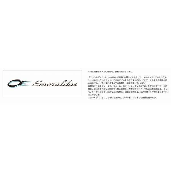 EＭERALDAS STOIST ST 65Ｍ TG ダイワ
