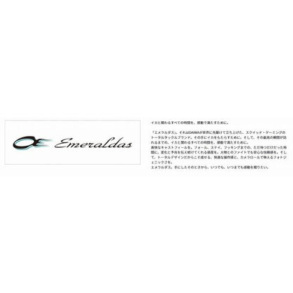 EＭERALDAS STOIST ST 65Ｍ TG ダイワ