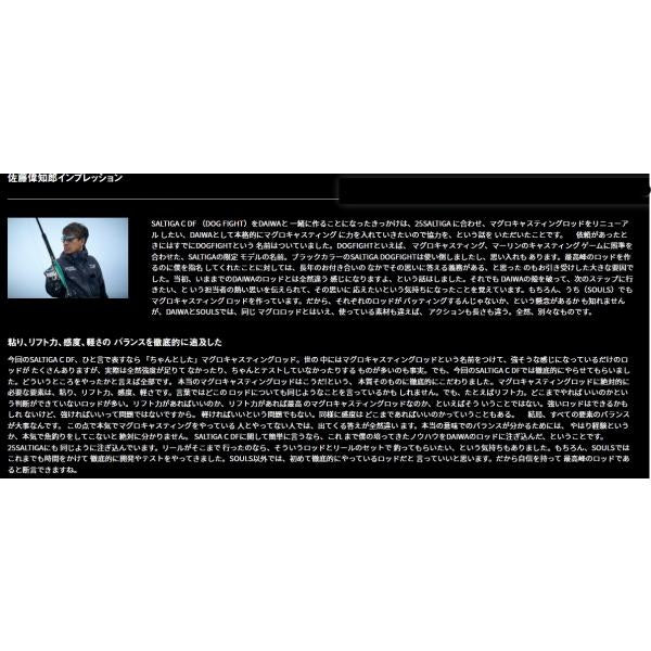 SALTIGA C DOGFIGHT 72－12 ダイワ