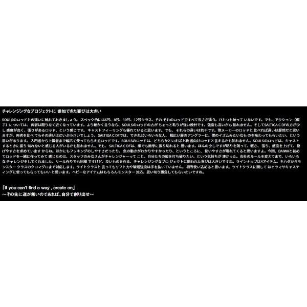 SALTIGA C DOGFIGHT 72－12 ダイワ