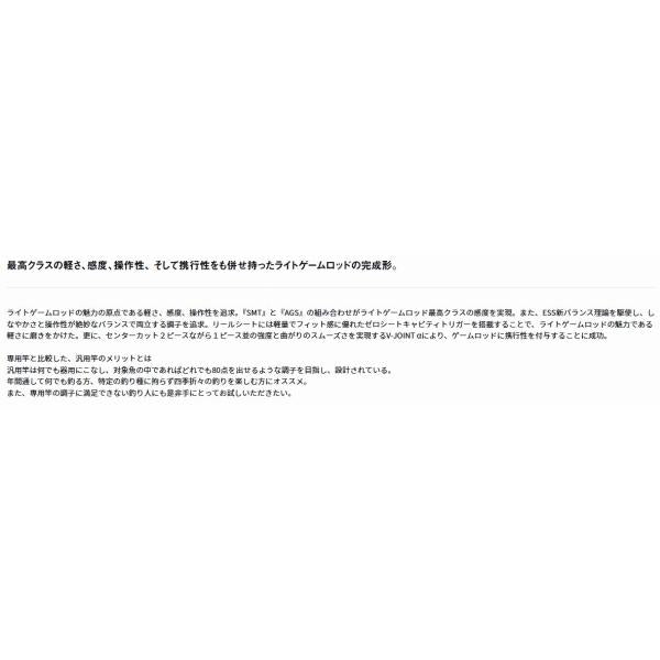 極鋭 LG 91H-170 ダイワ