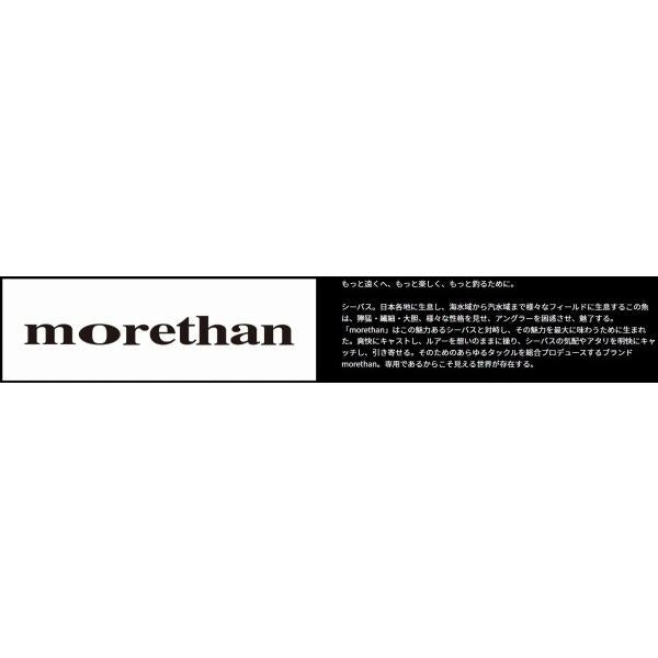 morethan 86ML・J ダイワ 秋の大感謝祭