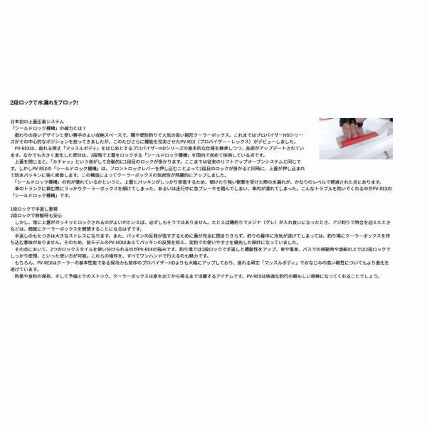 プロバイザーREX ZSS2800EX ホロシルバー ダイワ