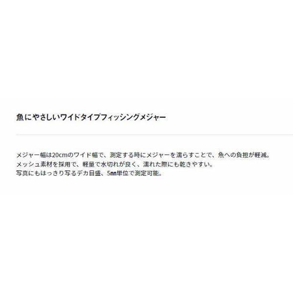 フィッシングメジャーＷ 80 ブラック ダイワ