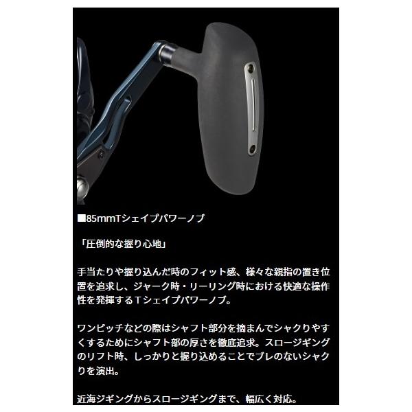 25ＳＡＬＴＩＧＡ 10 ダイワ