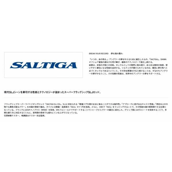 ＳＡＬＴＩＧＡ　ＳＬＪ　ＥＸ　61ＭＳ　ＴＧ ダイワ
