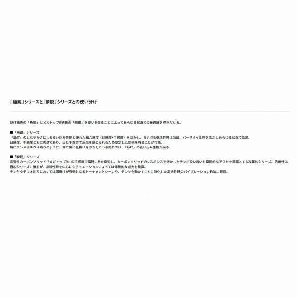 瞬鋭テンヤタチウオＥX 91Ｈ 160 ダイワ