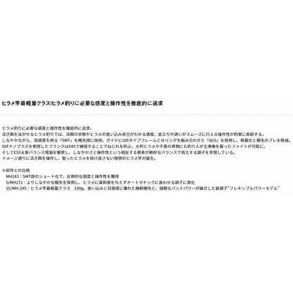 極鋭ヒラメ EX SS MH 245 ダイワ