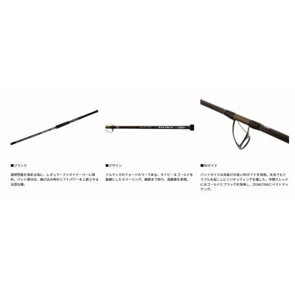 ＳＡＬＴＩＧＡ　Ｃ　ＢＵＬＬＳＷＩＮＧ　711－8 ダイワ