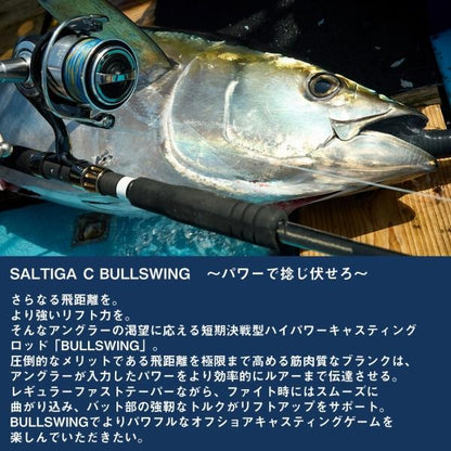 ＳＡＬＴＩＧＡ　Ｃ　ＢＵＬＬＳＷＩＮＧ　80－10 ダイワ