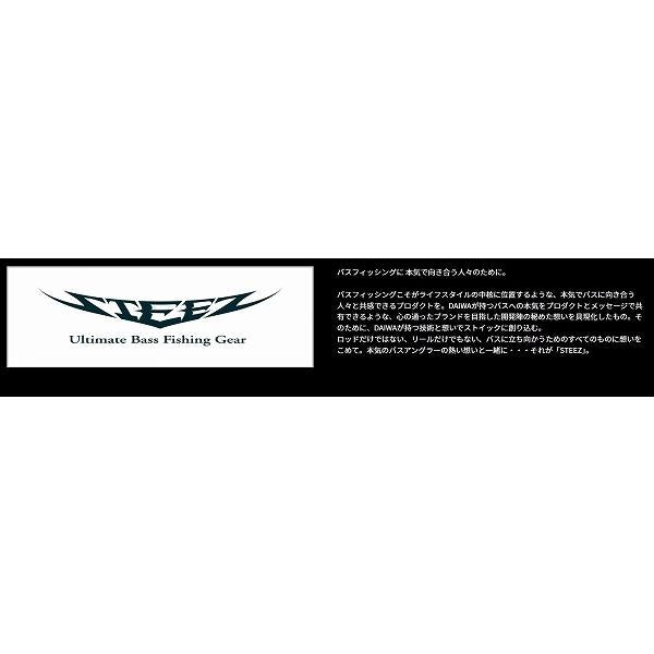 ＳＴＥＥＺ　Ｃ66Ｍ ダイワ
