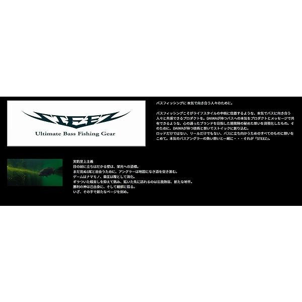 ＳＴＥＥＺ　ＳＣ　Ｓ69ＵＬ ダイワ