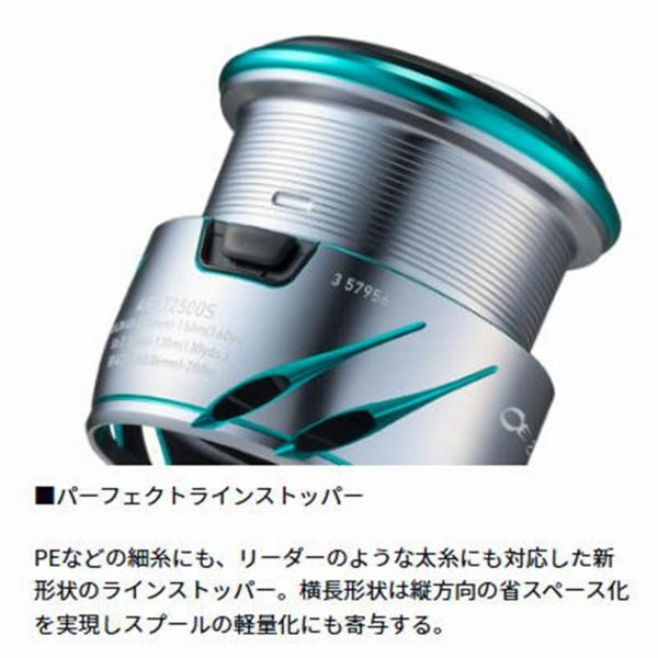 25EMERALDAS　エメラルダス ＡＩR ＰＣ ＬＴ2500 ＤＨ ダイワ