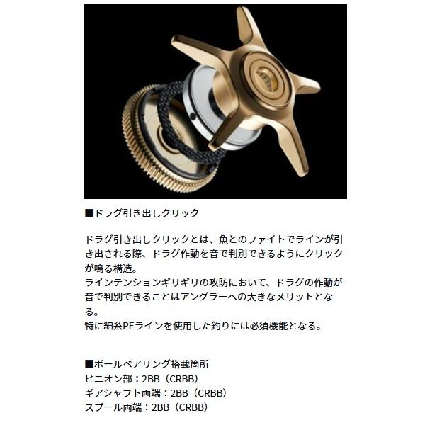 シルバーウルフCTSVTW8.5R PESP