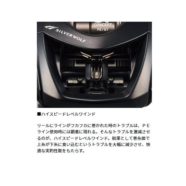 シルバーウルフCTSVTW8.5L PESP