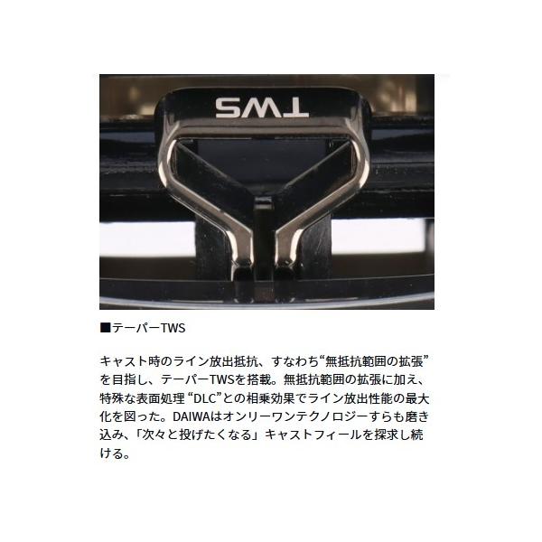シルバーウルフCTSVTW8.5L PESP