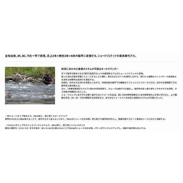 銀影競技ＳＰ　ＳＨＯＲＴＬＴＤ　Ｔ　85 ダイワ