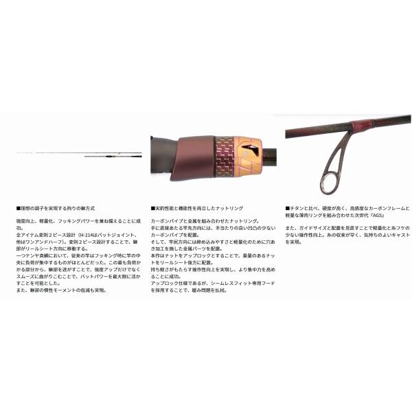 紅牙テンヤゲームＥＸ　Ｈ－230ＳＭＴ・Ｊ ダイワ