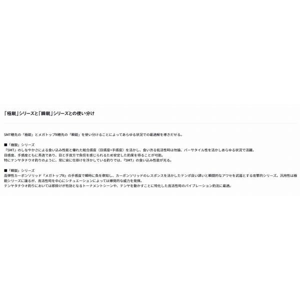 瞬鋭テンヤタチウオEX R-SPEC 82-170 ダイワ