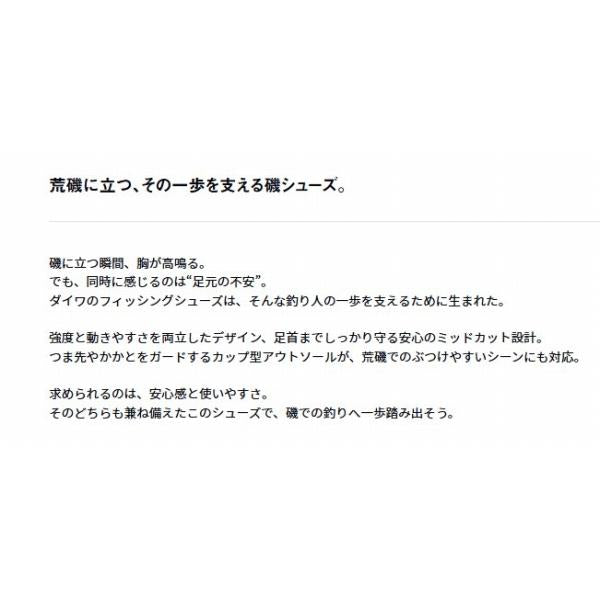 DS-2104スパイクソールフィッシングシューズ グレー 26cm ダイワ