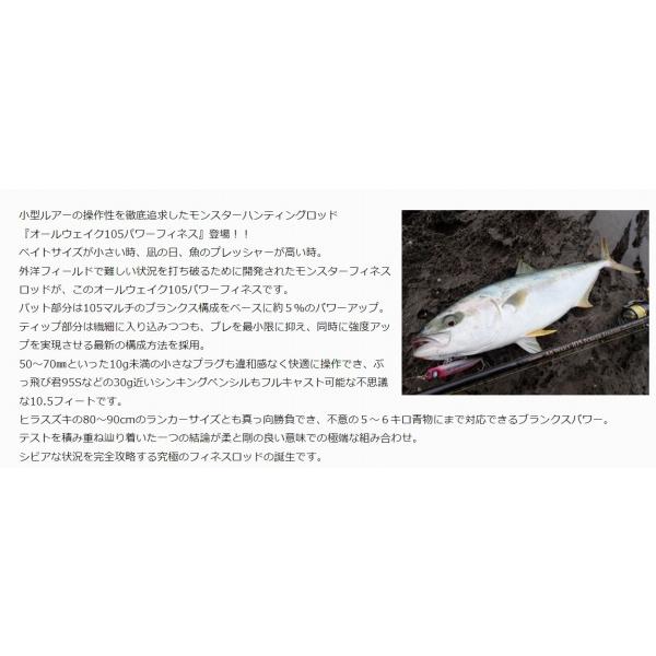 オールウェイク105パワーフィネス ジャンプライズ