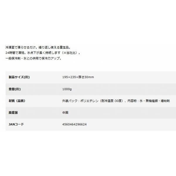 UE-3022 氷点下スーパー コールドパック L