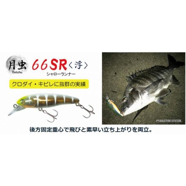 月虫66シャローランナー H-RG ハルシオンシステム