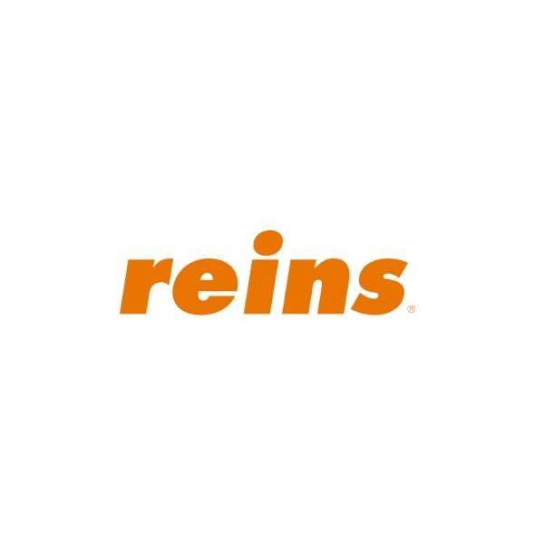 TGスリムダウンショットシンカー1/4oz reins