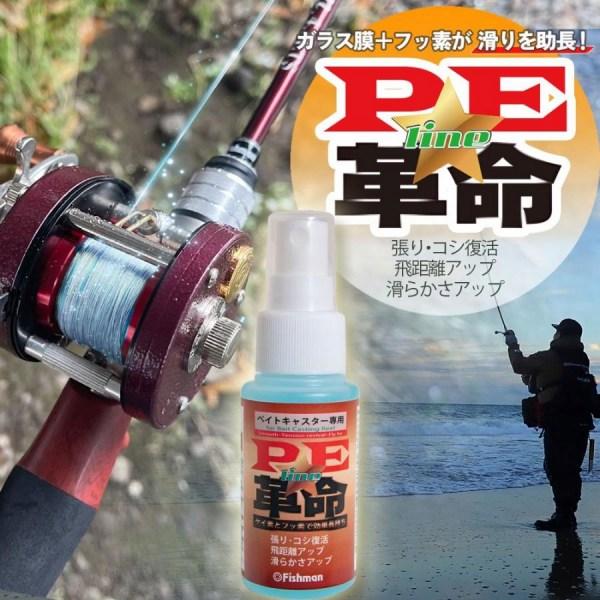 フィッシュマン PE革命 フィッシュマン