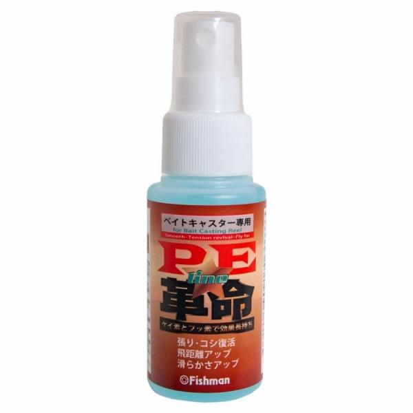 フィッシュマン PE革命 フィッシュマン