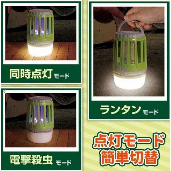 殺虫カラビナライト ハック 秋の大感謝祭