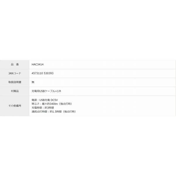FK 高輝度カラビナライト ハック 秋の大感謝祭