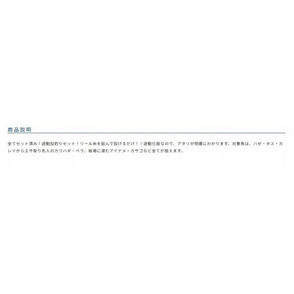 投げ釣り完全セット オーナー 釣り人応援セール