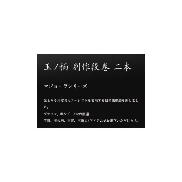 凱 小仕舞竿掛 段巻 黒マジョーラ二本 オオモリ
