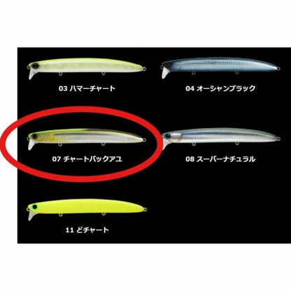 ラムタラジャイアントバデル177 No07 チャ-トバックアユ アピア