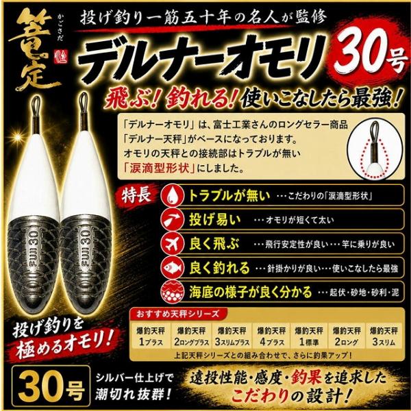 デルナーオモリ 30号 篭定