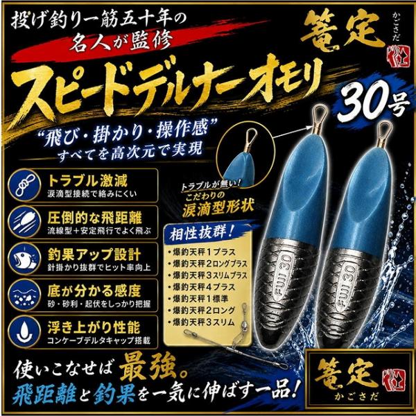 スピードデルナーオモリ 30号 篭定