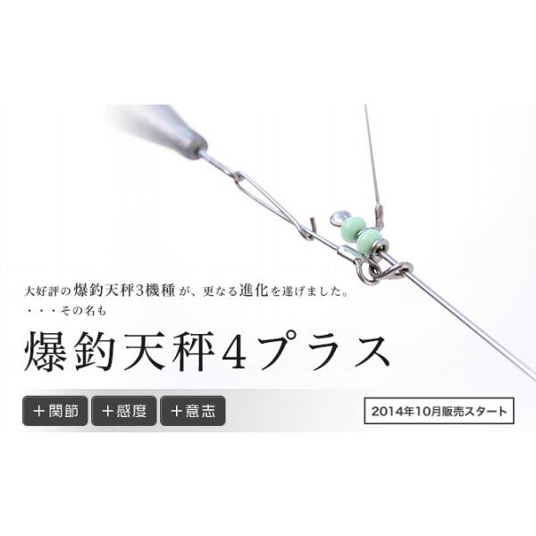爆釣天秤4プラス 篭定