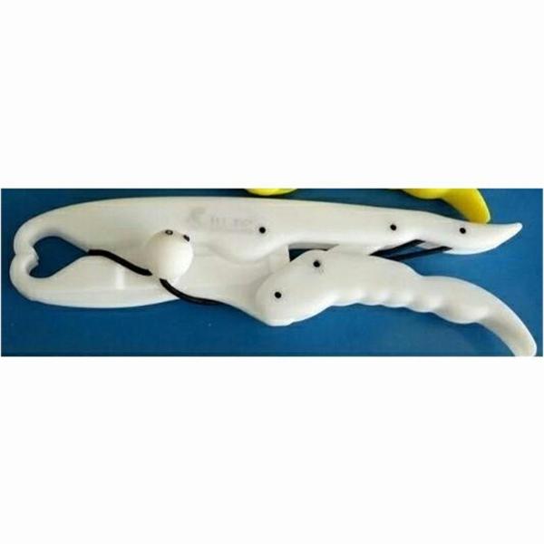SPLガイド6点セットE　8F+8+8+10+12+18 篭定
