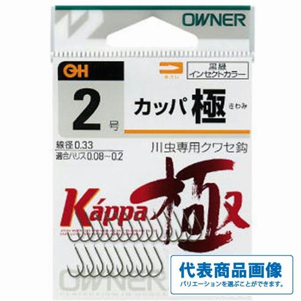 カッパ 極 オーナー