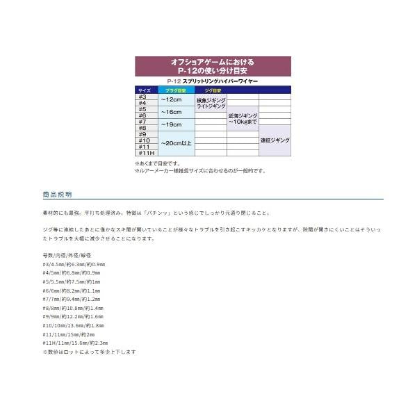 スプリットRハイパーP12 オーナー
