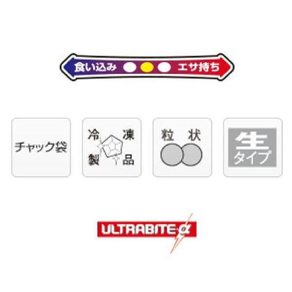 マダイスペシャル マルキュー