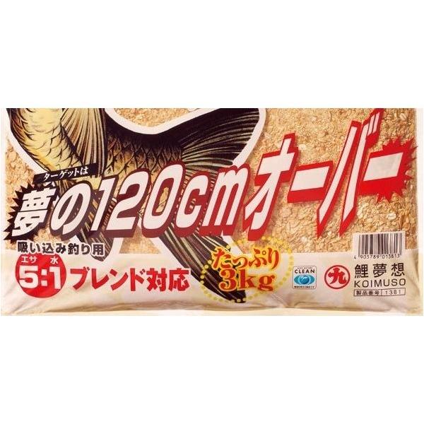 鯉夢想 マルキュー継続SALEA